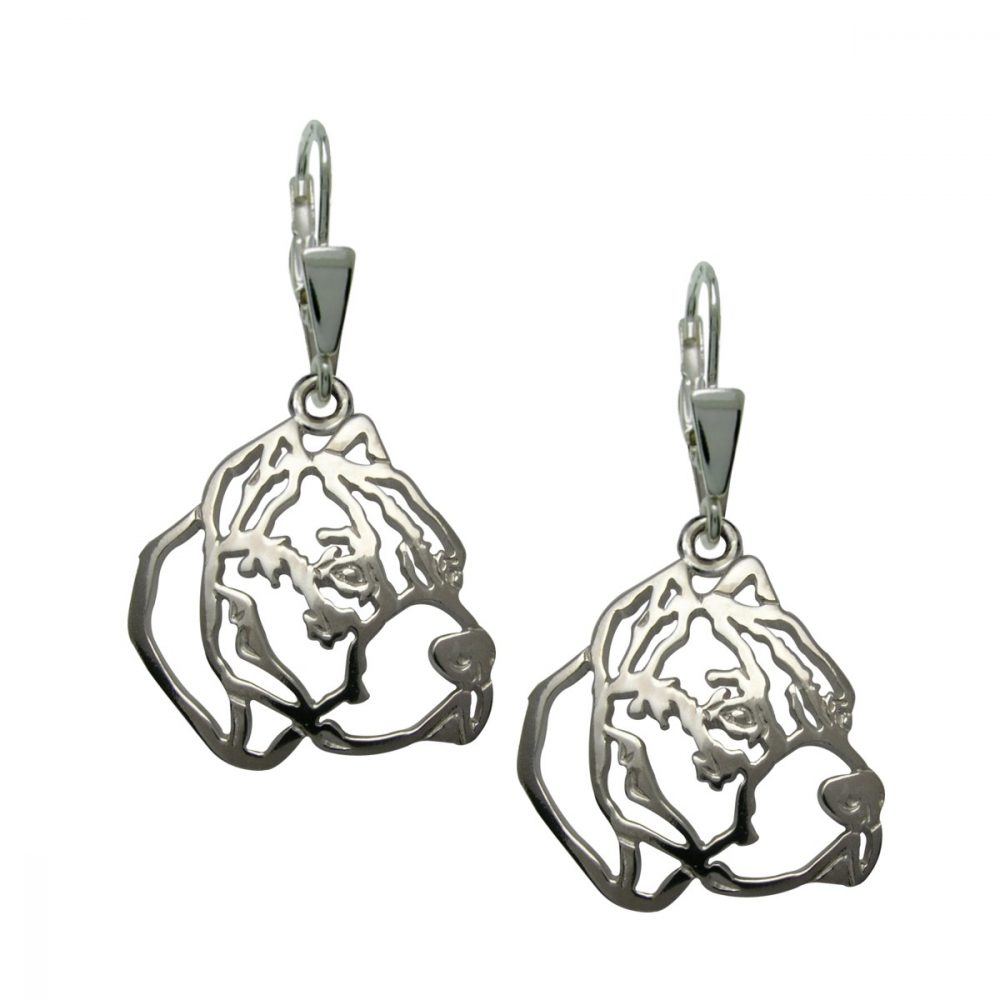 Dogo Argentino II – silver sterling earrings - 1