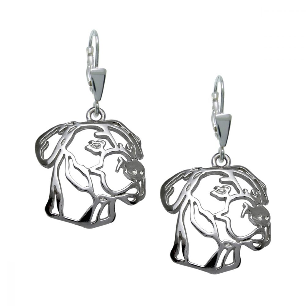 Dogo Argentino I – silver sterling earrings - 1