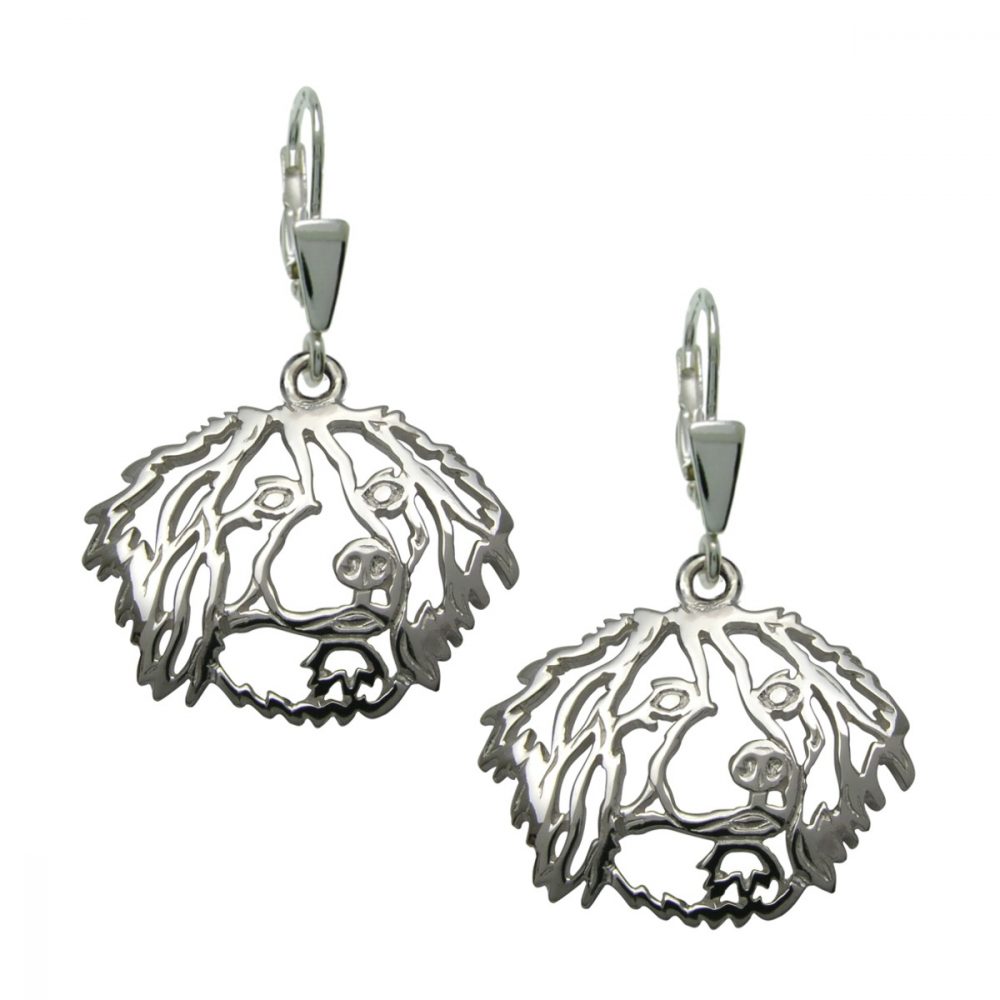 Kooikerhondje – silver sterling earrings - 1