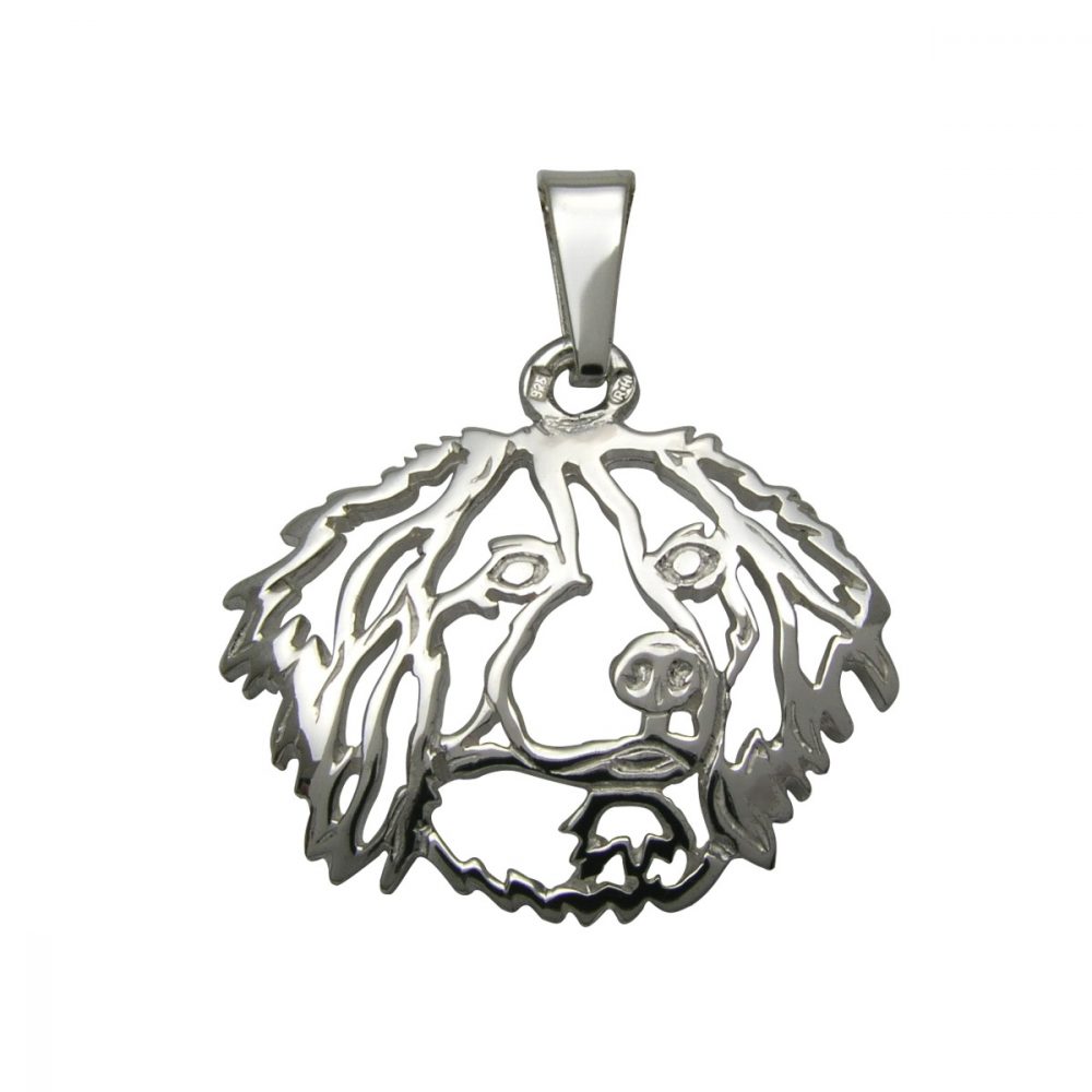Kooikerhondje – silver sterling pendant - 1