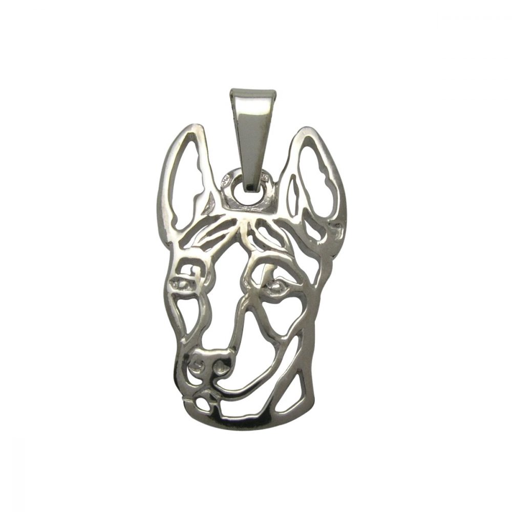 Xoloitzcuintle – silver sterling pendant - 1