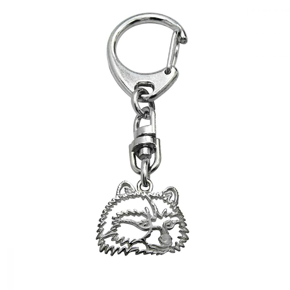 Raccoon – keyring - 1