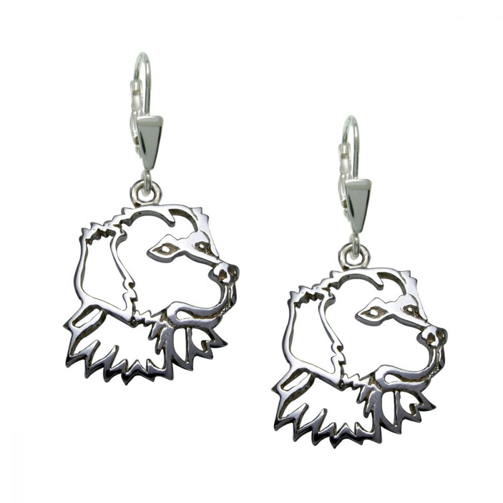 Retriever – silver sterling earrings - 1