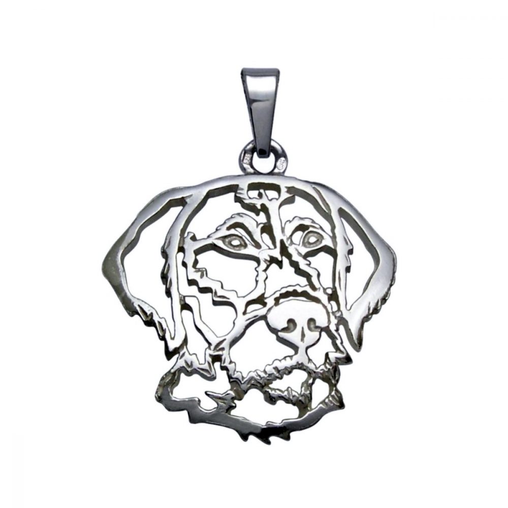 Rough-coated Bohemian Pointer- silver sterling pendant - 1