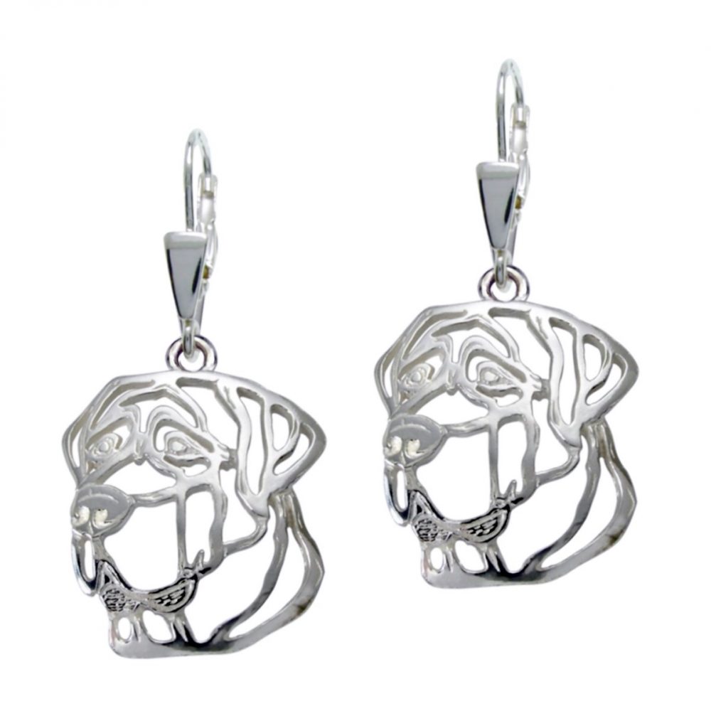 Tosa – silver sterling earrings - 1